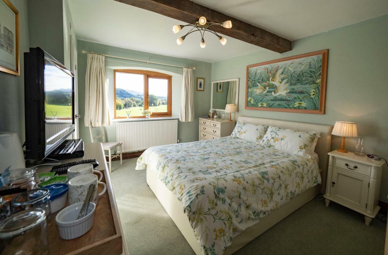Rhyd Lydan Bed & Breakfast Newtown  Eksteriør bilde
